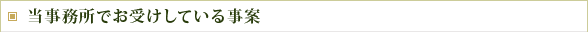 お受けしている刑事事件の事案について